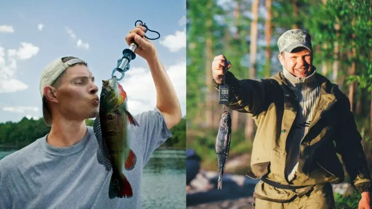 Choose the Right Fishing Scale for Accurate Weighing